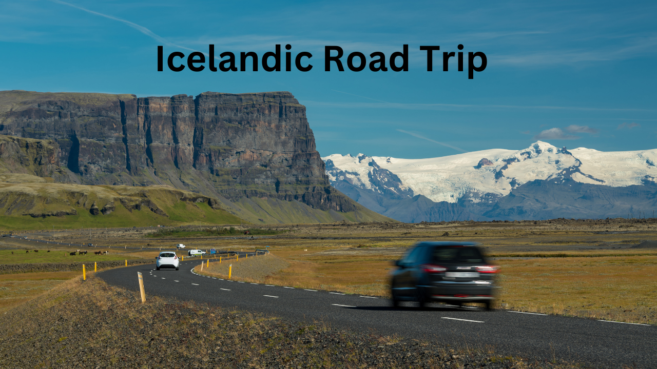 Icelandic Road Trip